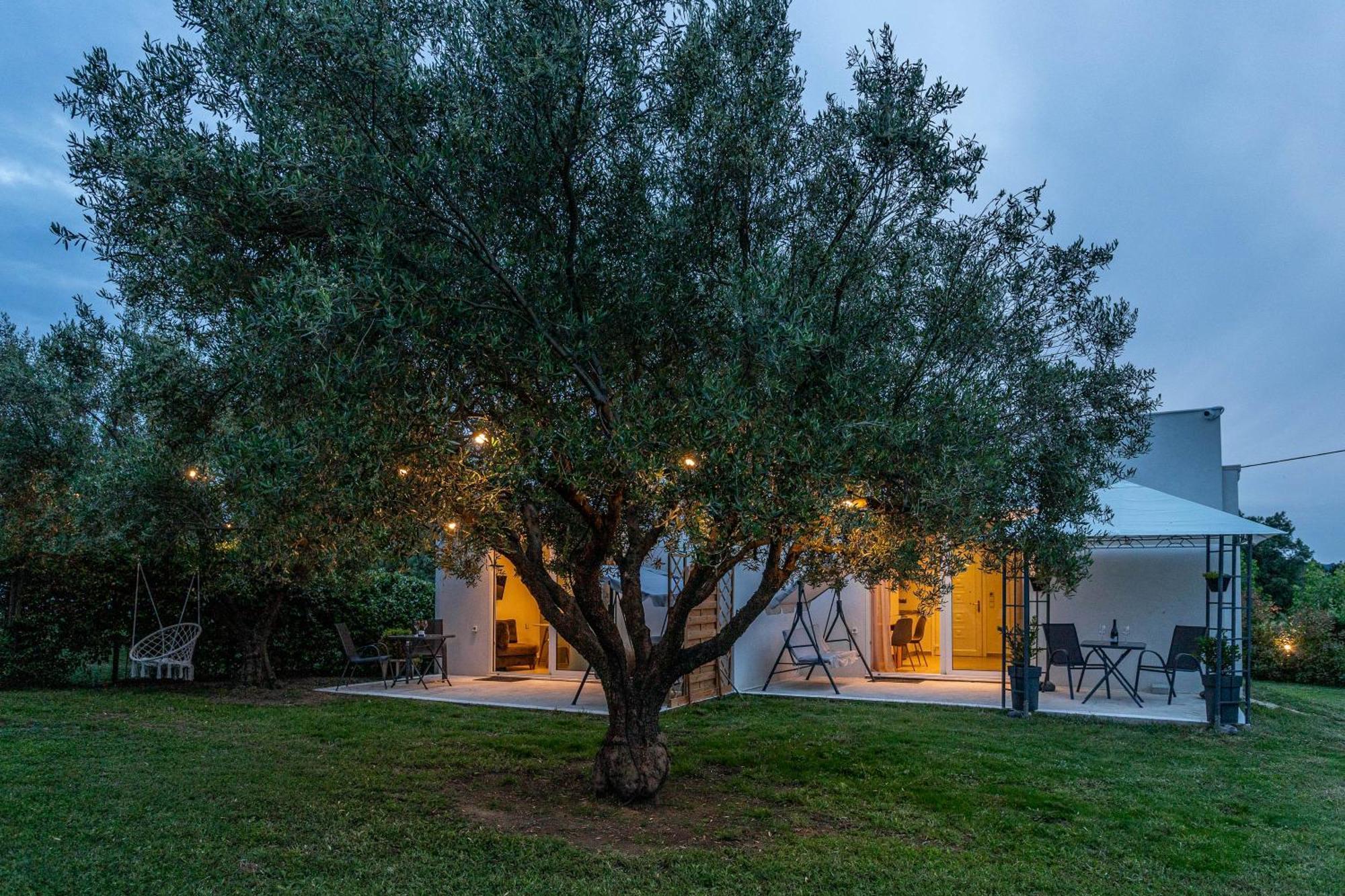 Mellagia Suites Kassandreia Buitenkant foto